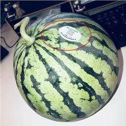 网红在线吃瓜是什么意思,网络娱乐的另类风向标  第3张