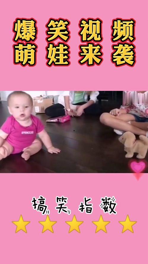 娃娃爆料最新搞笑视频下载,最新搞笑视频合集,笑到肚子疼! 第3张 娃娃爆料最新搞笑视频下载,最新搞笑视频合集,笑到肚子疼! 第3张